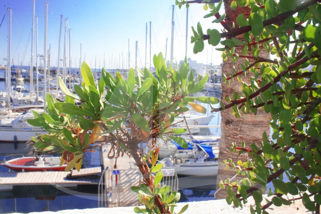 هتل رویال تالاسا موناستیر